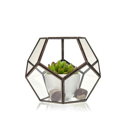 Szklane Terrarium Geometryczne - Ośmiobok