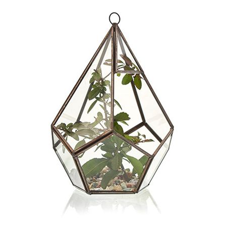Szklane Terrarium Geometryczne - Piramida